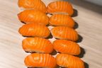 Box Nigiri saumon